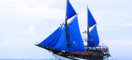 Our Partner - Sea Safari Cruises